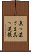 真っ逆さま Scroll