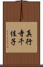 真行寺千佳子 Scroll
