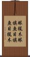 眼梶木 Scroll