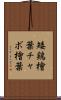 矮鶏檜葉 Scroll
