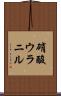 硝酸ウラニル Scroll