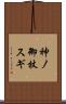 神ノ御杖スギ Scroll