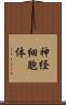 神経細胞体 Scroll