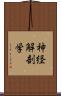 神経解剖学 Scroll