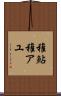 稚鮎 Scroll