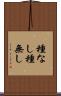 種なし Scroll