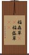 稲森草(rK) Scroll