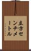 立方センチメートル Scroll