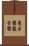 竜舌蘭 Scroll