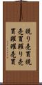 競り売買 Scroll