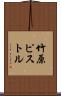 竹原ピストル Scroll
