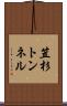 笠杉トンネル Scroll