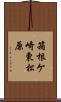 箱根ケ崎東松原 Scroll