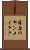篠原のキンメイチク Scroll