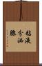 粘液分泌腺 Scroll