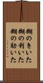 糊のきいた Scroll