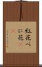紅花 Scroll