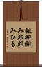 組紐 Scroll
