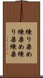 練り染め Scroll