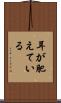 耳が肥えている Scroll