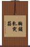 胸鎖乳突筋 Scroll