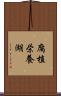 腐植栄養湖 Scroll