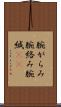 腕がらみ Scroll