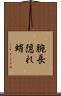 腕長隠れ蛸 Scroll