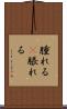 腫れる(P) Scroll