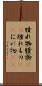 腫れ物 Scroll