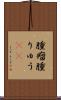 腫瘤 Scroll