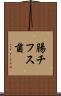 腸チフス菌 Scroll