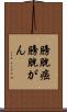 膀胱癌 Scroll