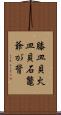 膝皿貝 Scroll