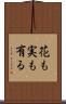 花も実も有る Scroll
