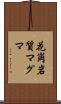 花崗岩質マグマ Scroll