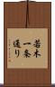 若木一条通り Scroll