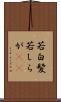 若白髪 Scroll