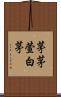 茅 Scroll