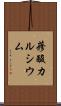 蓚酸カルシウム Scroll