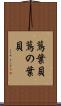 蔦葉貝 Scroll