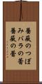 薔薇のつぼみ Scroll