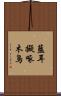 藍耳擬啄木鳥 Scroll