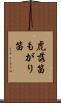 虎落笛 Scroll
