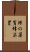 蜂の巣胃 Scroll