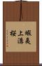 蝦夷上溝桜 Scroll