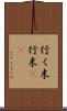 行く末 Scroll