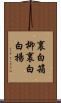 裏白箱柳 Scroll