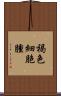 褐色細胞腫 Scroll
