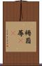 褥 Scroll